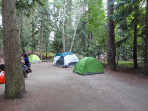 Shuswap-Lake-Campground
